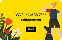 Wolfgangsee Card